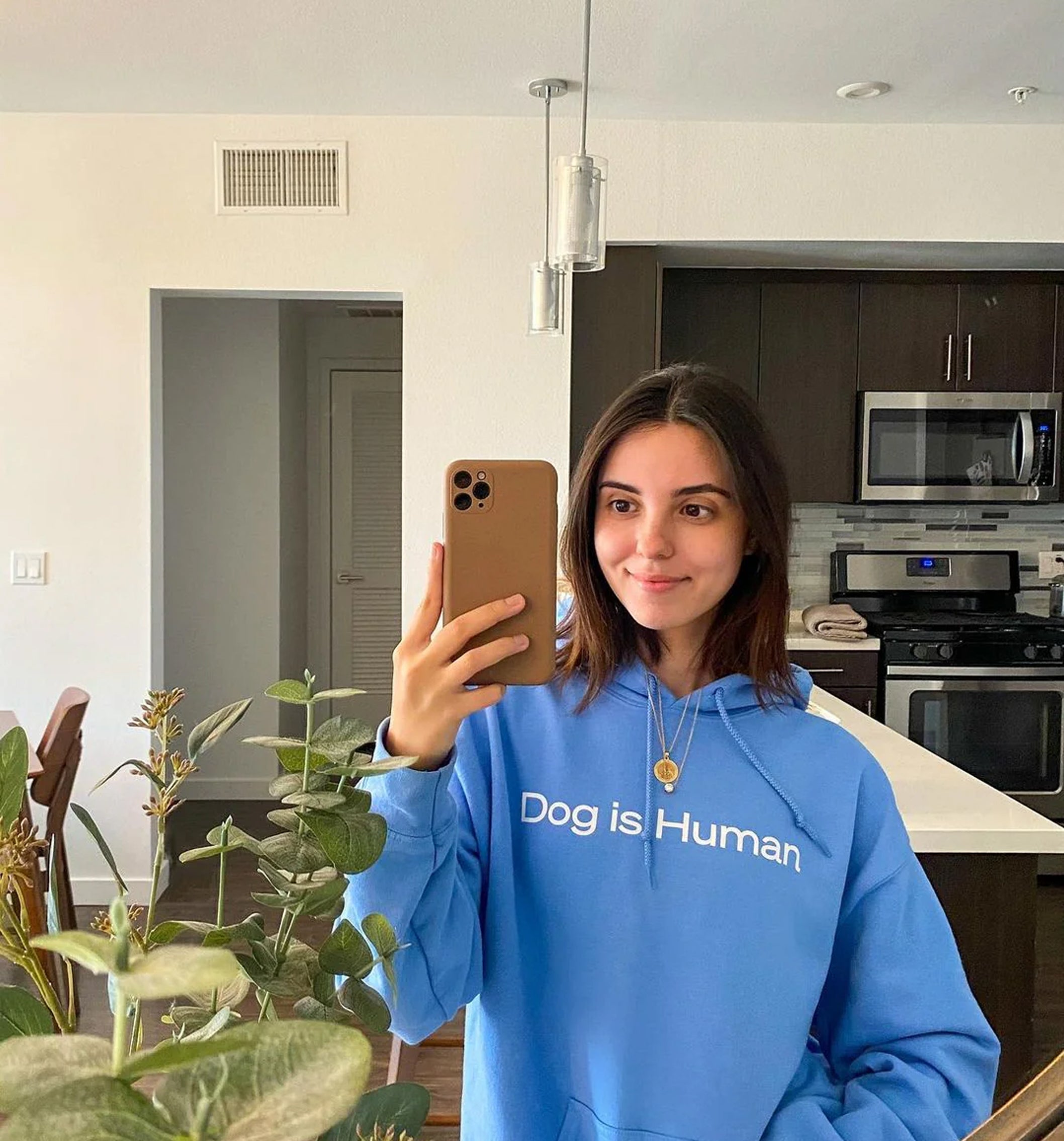 Wishbone Blue Hoodie