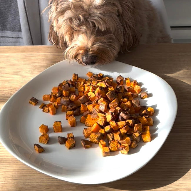 Image of 🍠 1 Ingredient Sweet Potato Treats