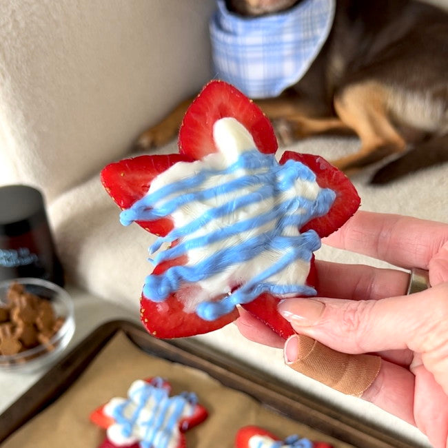Image of 🇺🇸 Strawberry Stars