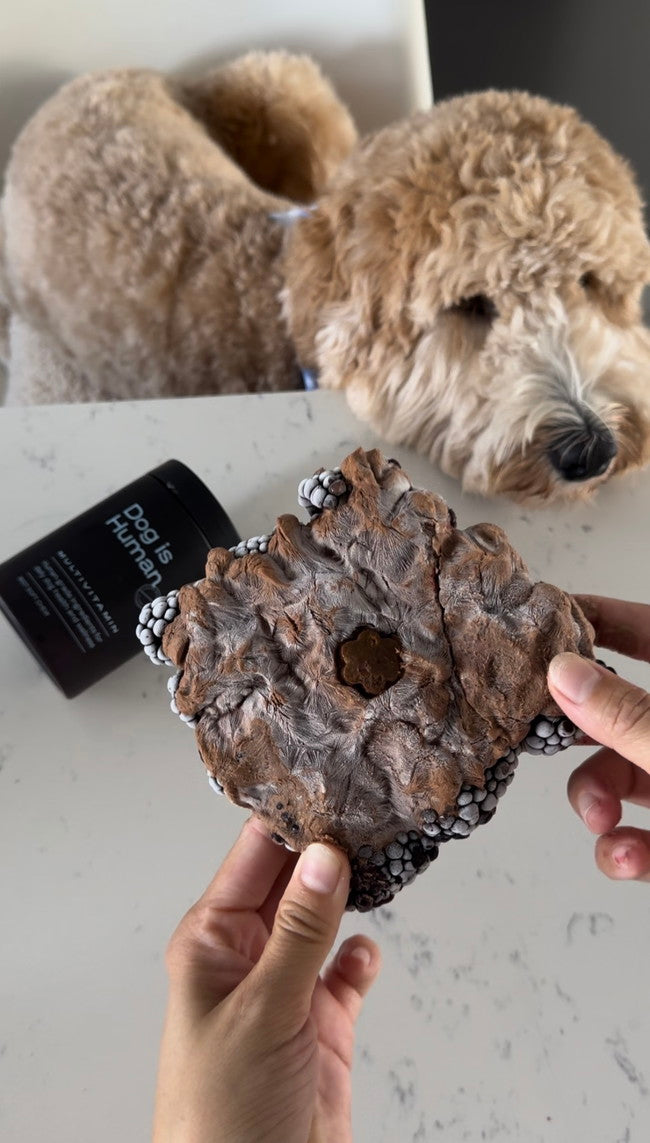 Image of 🐶 Blackberry Bark