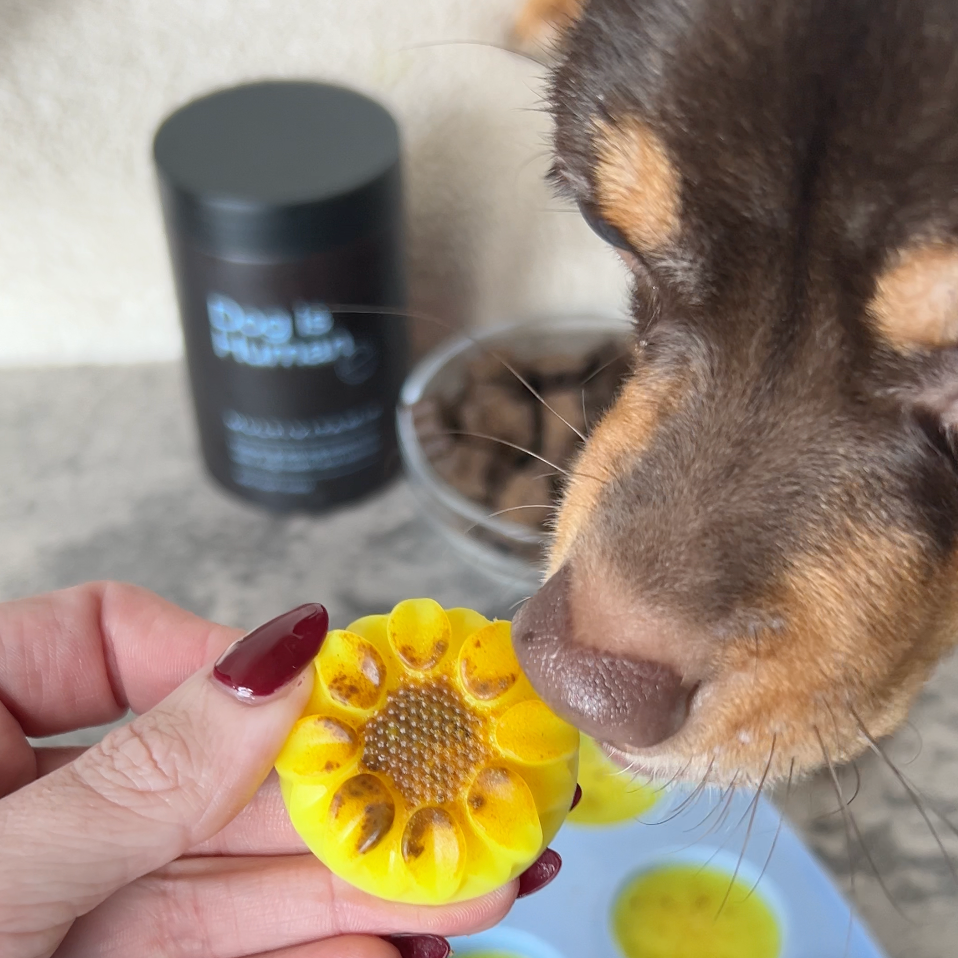 Image of 🌼Seasonal Itch Treats