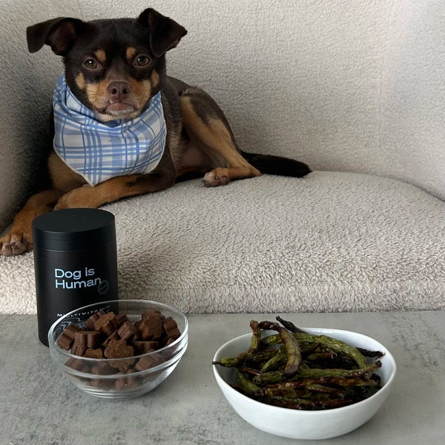 Image of 🫛Green Bean Treats