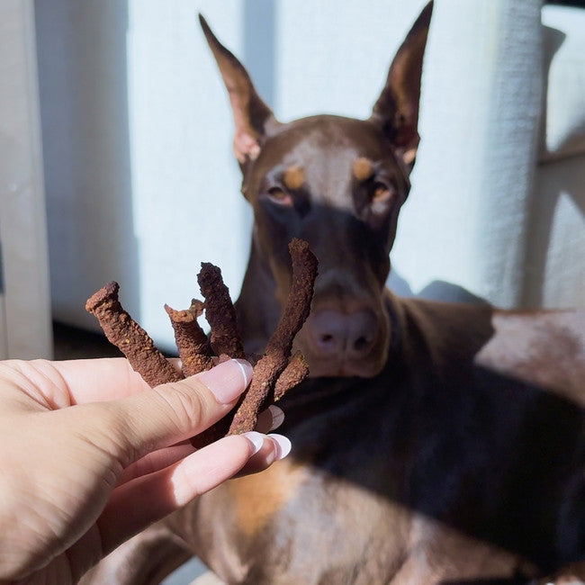 Image of 🍂Fall Jerky Treats