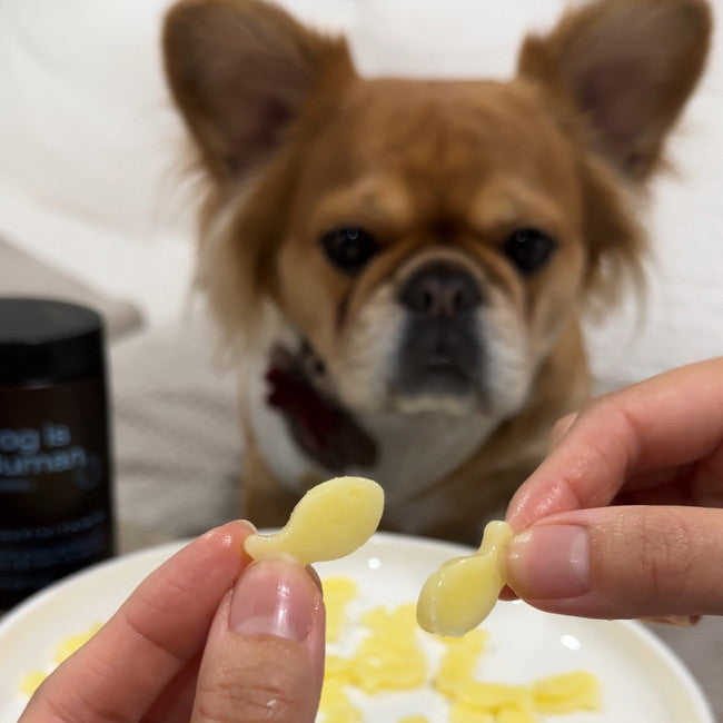 Image of 🧀Dog-Friendly Goldfish