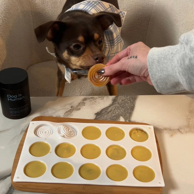 Image of 🍯Seasonal Itch Support Treats
