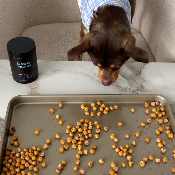 Image of 💛Chickpea Treats