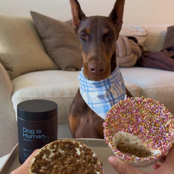 Image of 🌈Dog-Friendly Dot Cake