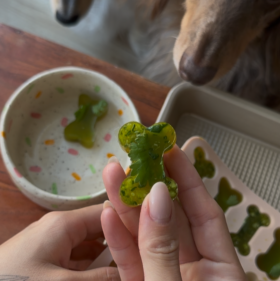 Image of 🦴Detox Bone Broth Gummies