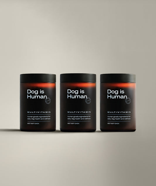 Daily Multivitamin 3 Jar Bundle