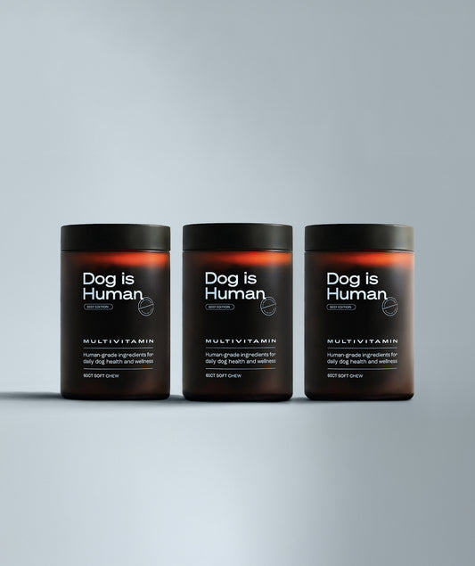 Daily Multivitamin 3 Jar Bundle (Beef)