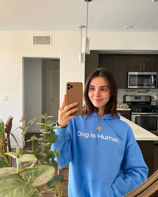 Wishbone Blue Hoodie