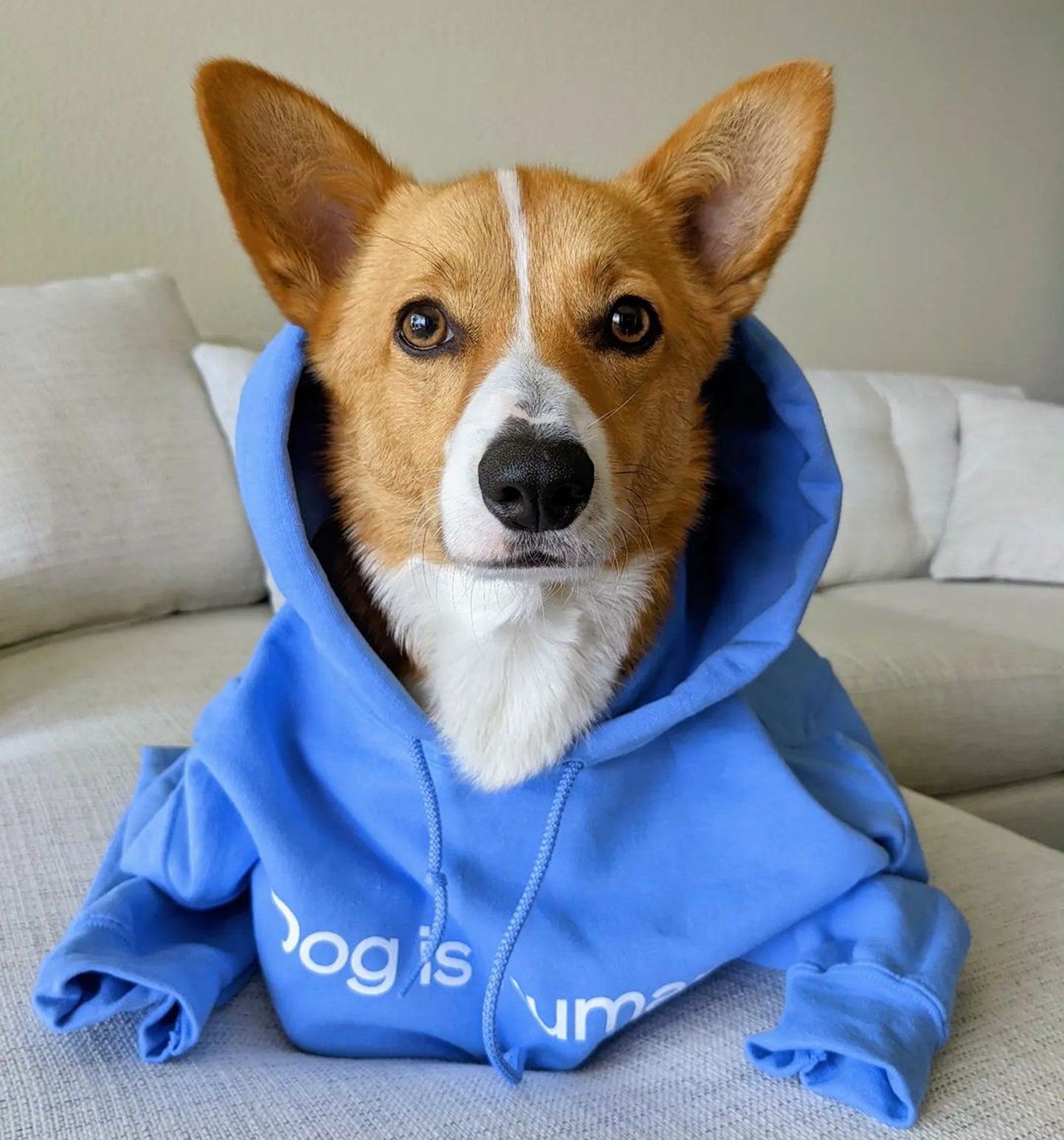 Wishbone Blue Hoodie