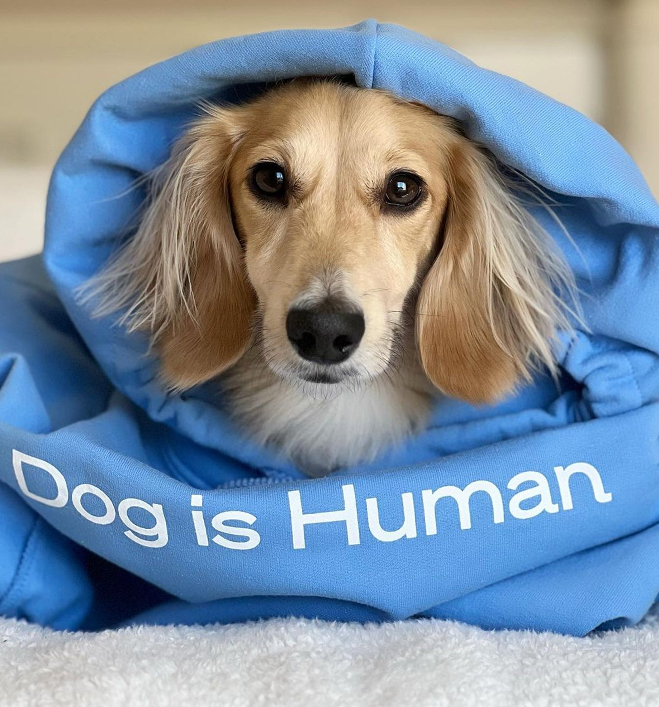 Wishbone Blue Hoodie